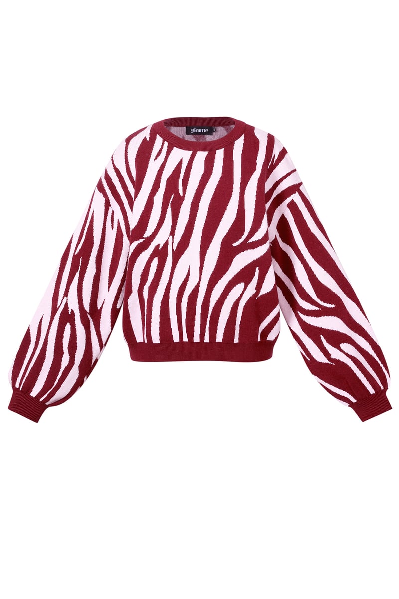 Gebreide truien Zebrastrepen Casual herfst/winterkleding